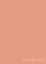 paint color swatch of mudpaint-branded orange clay furniture paint